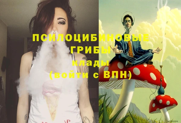ГАЛЛЮЦИНОГЕННЫЕ ГРИБЫ Володарск