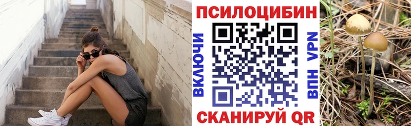 Купить где  Стародуб  Псилоцибиновые грибы ЛСД 
