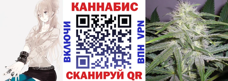 Купить закладки  Стародуб  Каннабис индика 